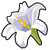 Item date white lily.png