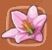 http://huniepop.wikia