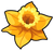 Item date yellow narcissus.png