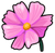 Item date pink cosmos.png