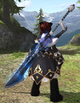 CMD-Sword Level 70