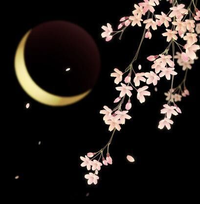 Moon-flower-simple-night.jpg
