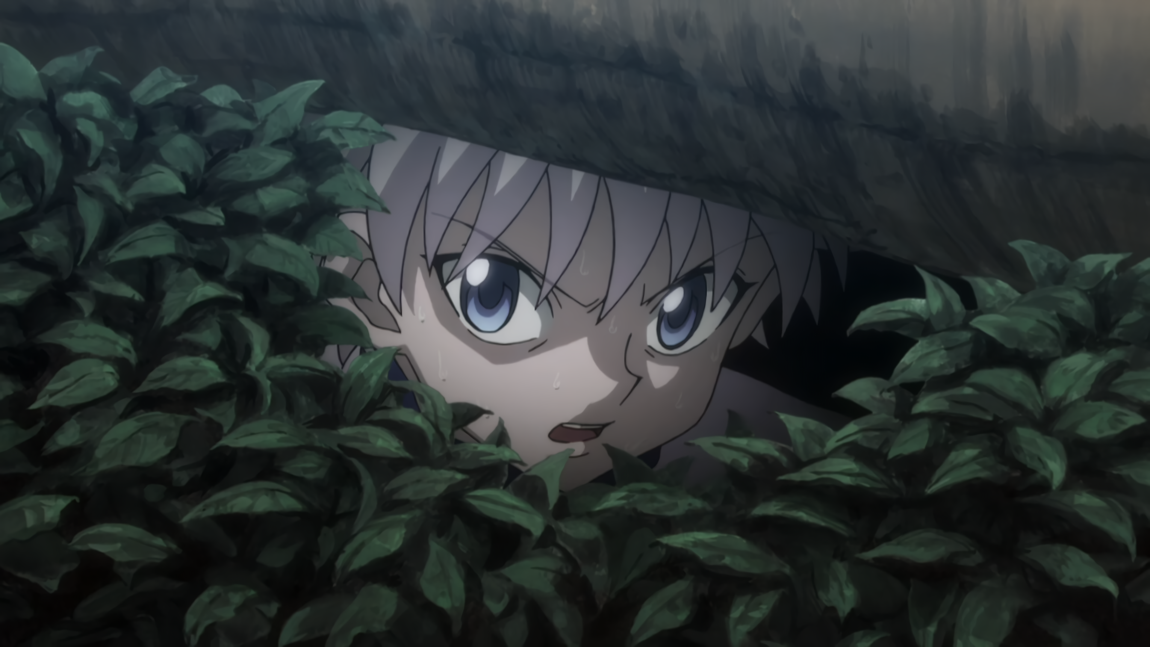 Hunter x Hunter 116 – You Won't Believe How Far Back You Need to Go to Find  a Better Single Episode of Anime