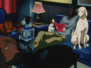 Squala and his dogs HXH 99 EP64