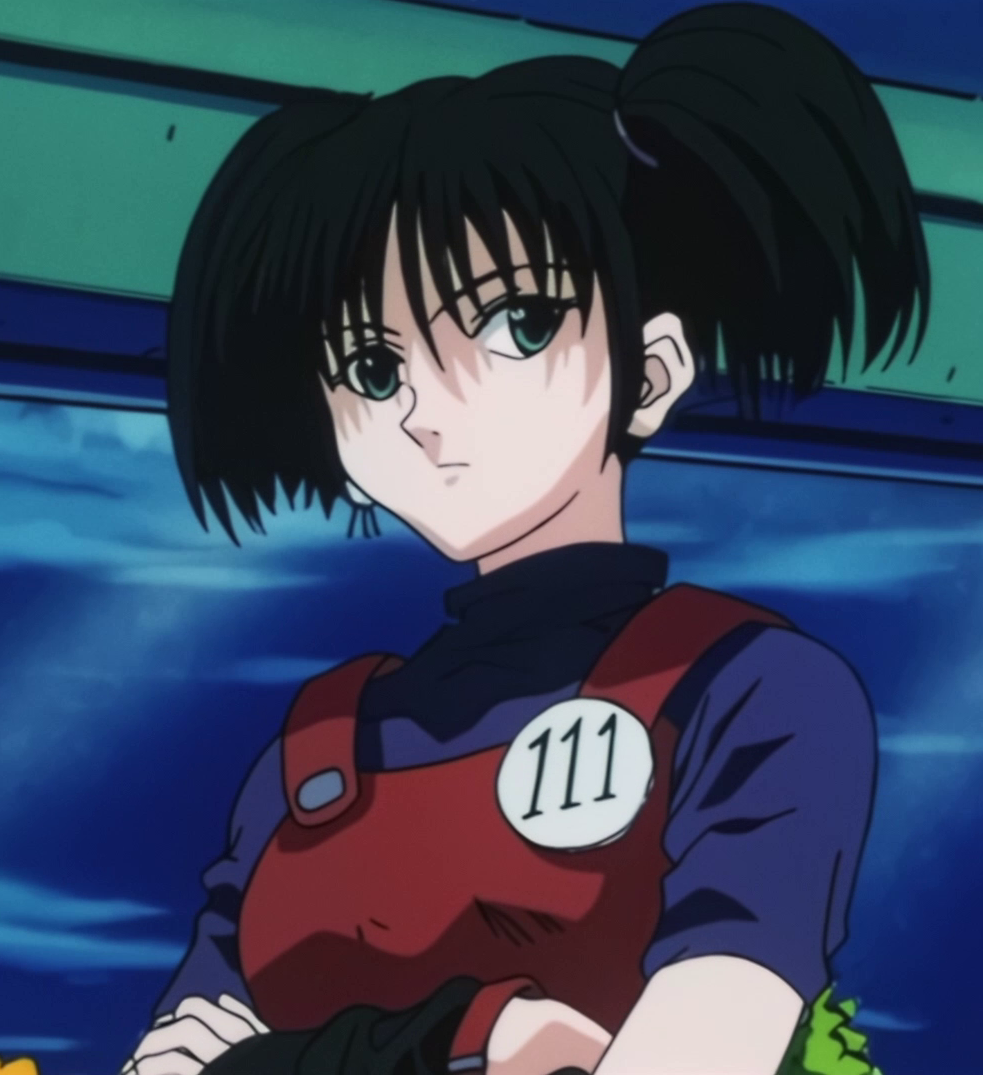 Why is Anita only in the 1999 Hunter x Hunter and not 2011? - Hunter  Association - Quora