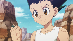 Greed Island - Gon Freecss Birthday: 5-5 Age: 12 Height