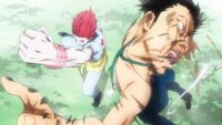 Hisoka KO Leorio