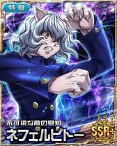 Neferpitou SSR Card 034