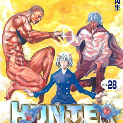 Hunter X Hunter Manga Volume 28