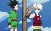 Killua recibe el mensaje de Milluki