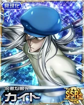 00001156 HxH Mobage SSR+ Card.png (463 KB)