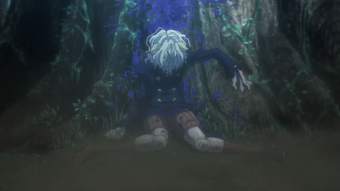 Neferpitou Hunterpedia Fandom