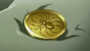 HXH Coin Toss