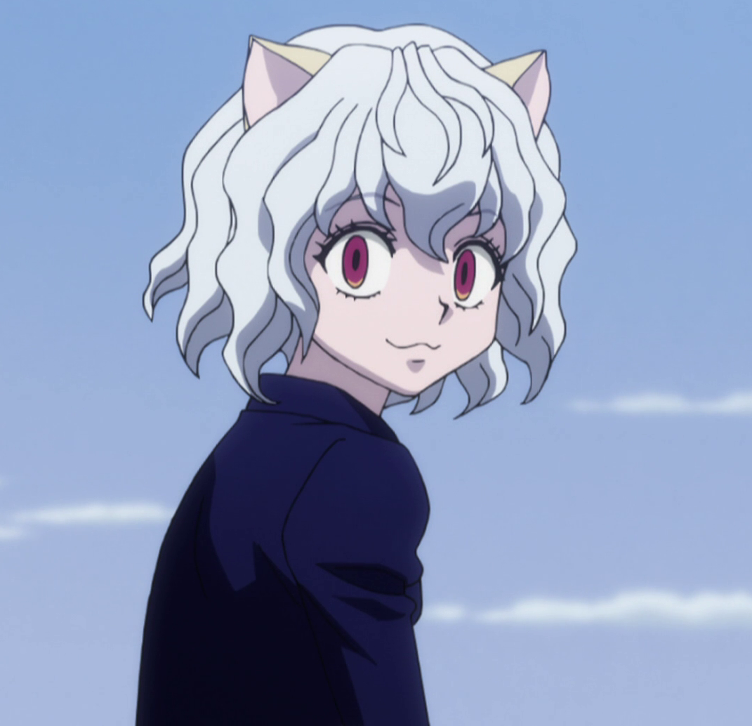 Neferpitou Hunterpedia Fandom