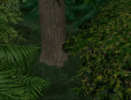 Wollowforest