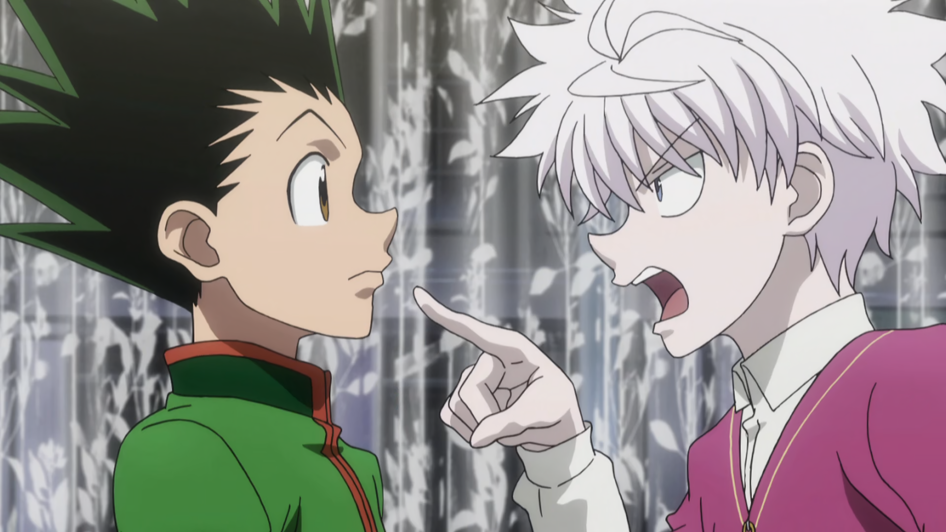 HUNTER×HUNTER Episode 55 (2011) | Hunterpedia | Fandom
