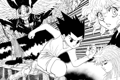 Hunter X Hunter | K/D EMPIRE