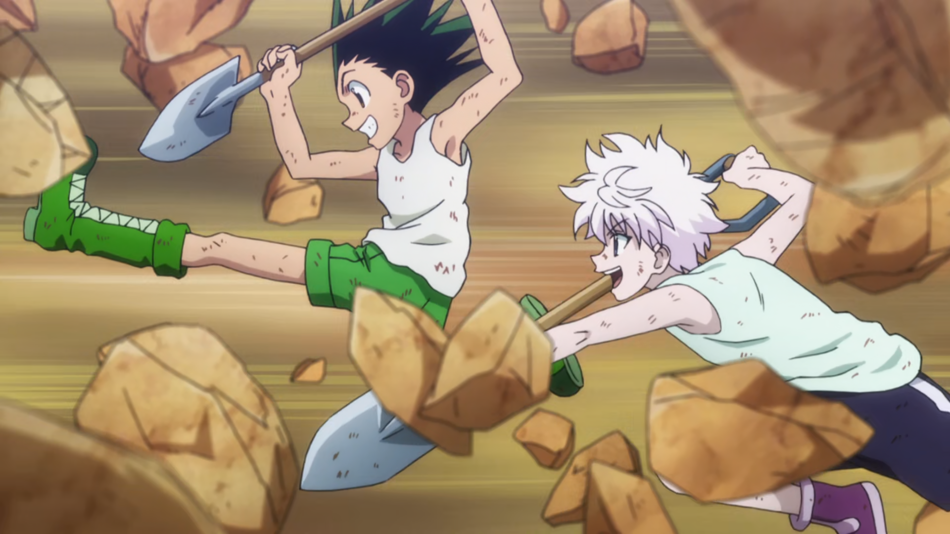 Hunter x Hunter (2011), Dubbing Wikia