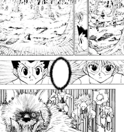 Chap 146 - Gon and Killua encountering monsters and using Gyo to analyze them