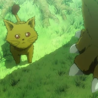 Kon Hunterpedia Fandom Foxbears are large creatures that stand over a few feet tall, with stocky bodies and extremely sharp, pointed claws. kon hunterpedia fandom