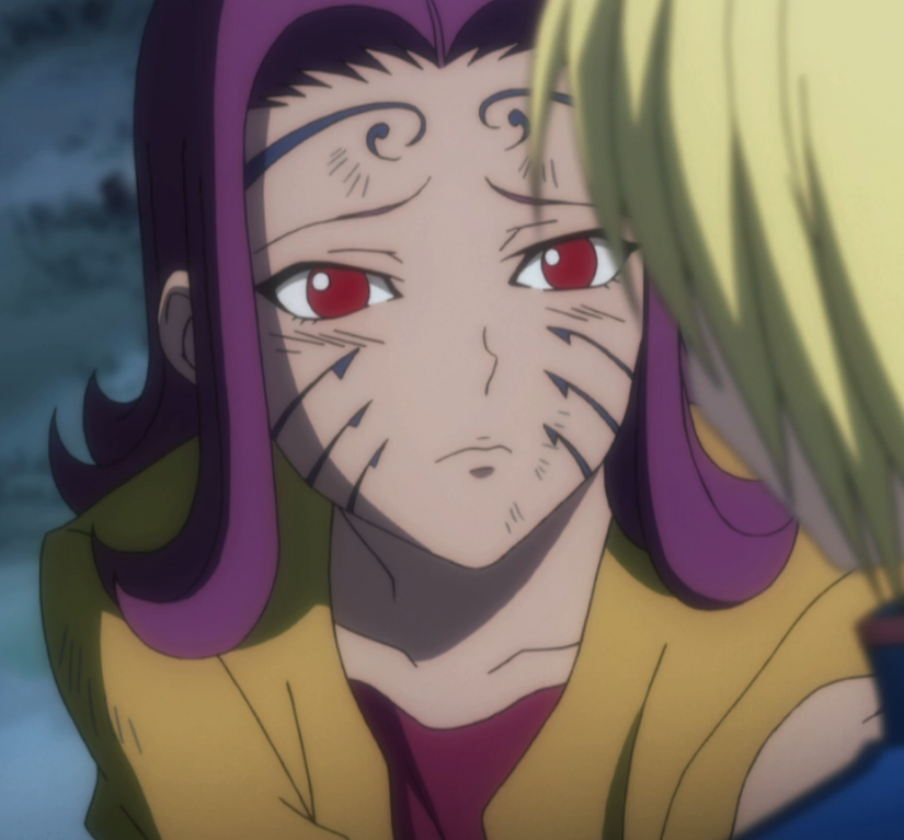 The Gender Complexities Within Hunter X Hunter - Women's Republic