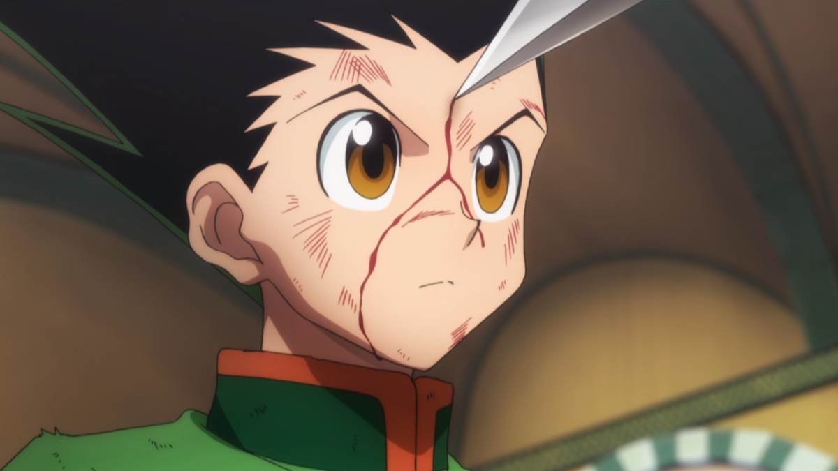 HUNTER × HUNTER PP11716HXH_Hunter_x_Hunter_250