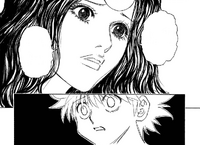 Chap 294 - Palm reminding Killua that Gon needs him most of all
