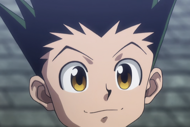 Hunter × Hunter | Hunterpedia | Fandom