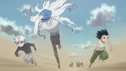 Kite, Gon, and Killua running across the NGL