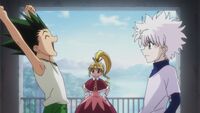 Gon killua, g.i