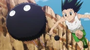 Gon trying to catch a Hyper Puffball