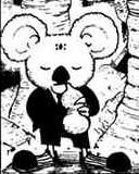 Koala Wiki Hunter X Hunter Fandom Koala Wiki Hunter X Hunter Fandom