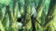 Gon meets Kite