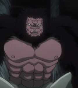 Anime (2011)