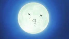Kiriko moon