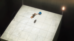Tonpa forfeits
