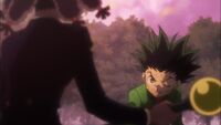 Gon battu par Kanaria