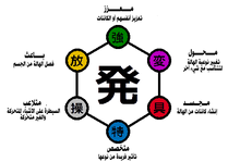 Nen Types Diagram ar2