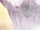 HxH2011 EP32 Hisoka's fake Spider tattoo.png