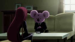 Koala Hunterpedia Fandom Koala Hunterpedia Fandom