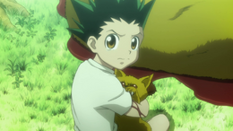 76 - Gon and Kon