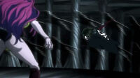 Zazan fight