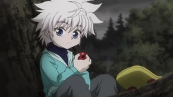 Killua meeting Canary
