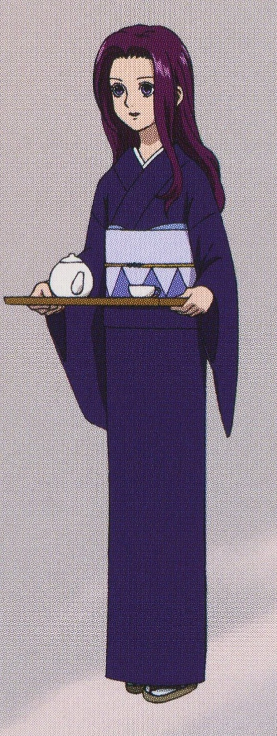 Elisa Wiki Hunter X Hunter Fandom