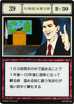 Fledgling Politician