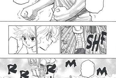 Chapter 273 | Hunterpedia | Fandom
