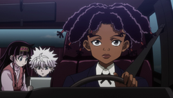 Canary driving the car