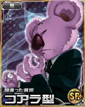 Koala SR Card 004