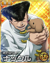 Knuckle SR Card 022