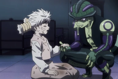 HUNTER×HUNTER 
グリードアイランド パーフェクトコレクタブルセット Ponzu | Hunterpedia | Fandom